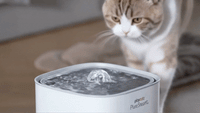 PureStream™ - Automatic Water Fountain
