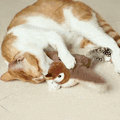 FlappyBird™ - Interactive Bird Toy for Cats